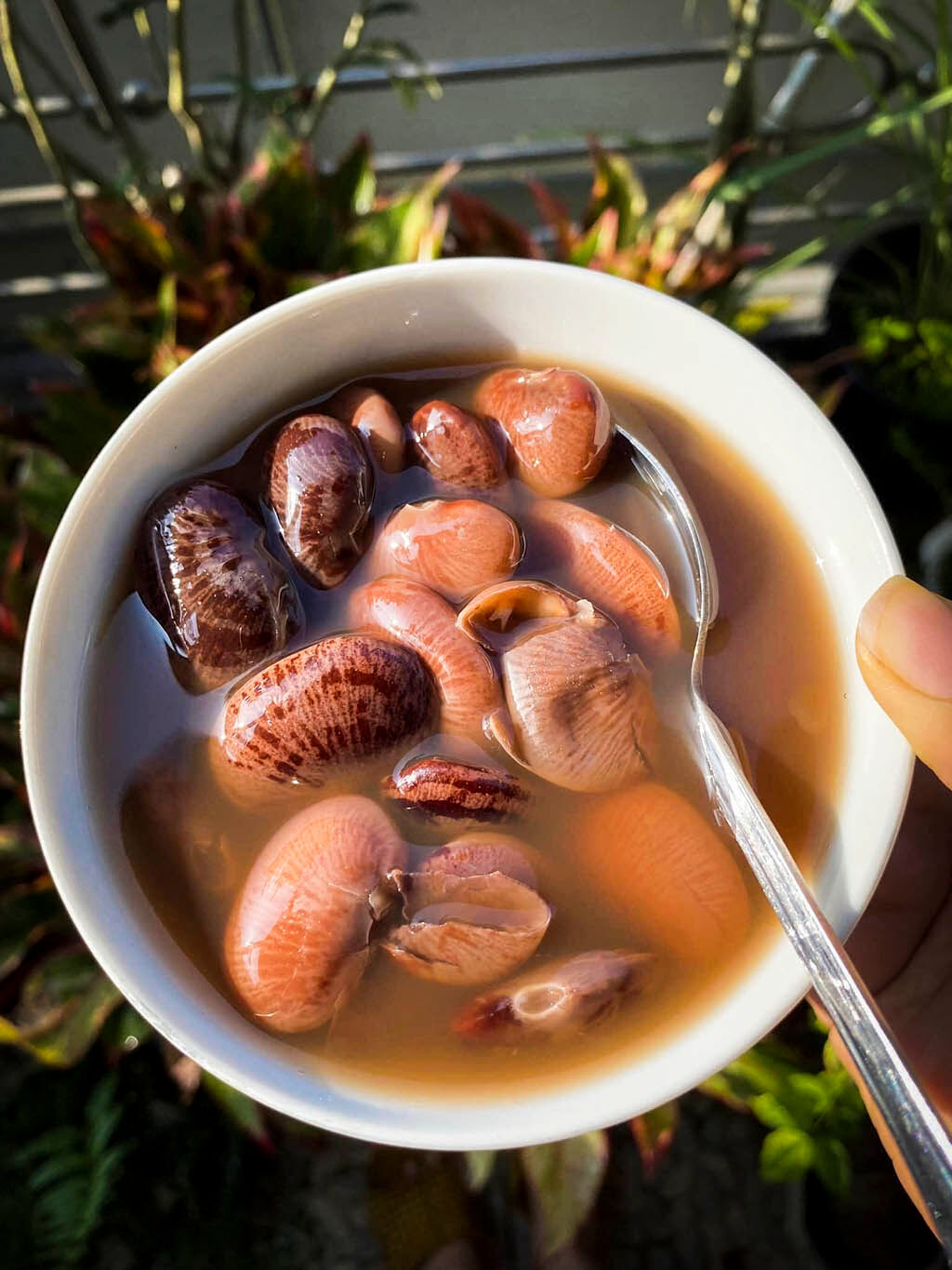 Learn Huế City’s royal dessert heritage with expert insights